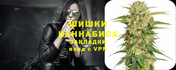 амф Магас