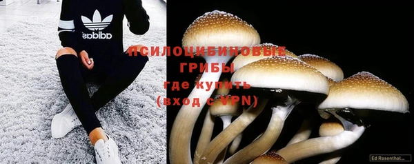 метадон Корсаков